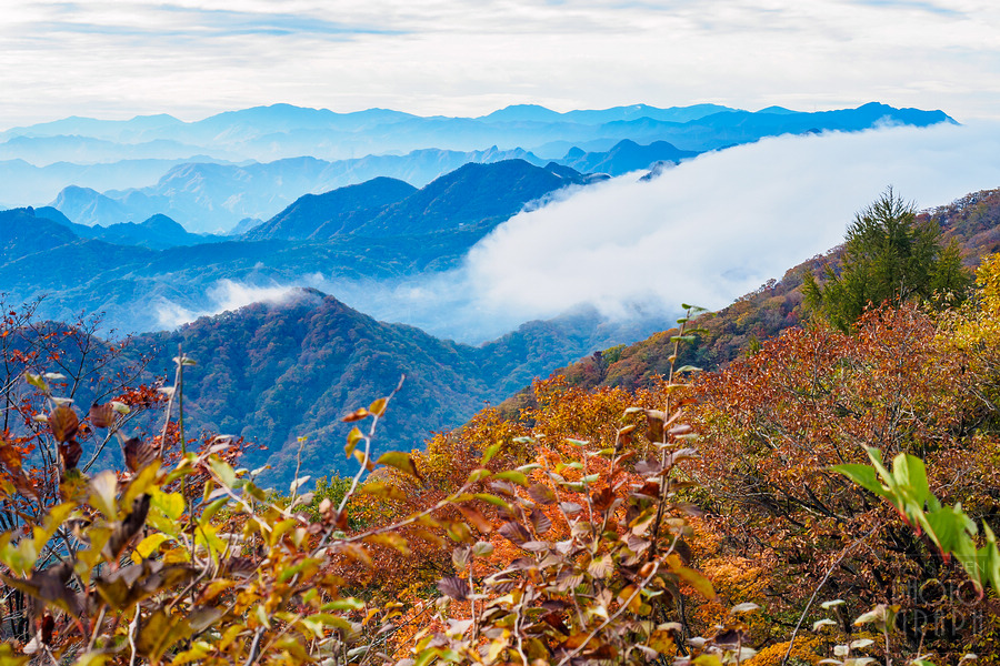 碓冰峠見晴台